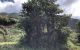 thum-8229210_giZyIkQh43_1636443955.jpg