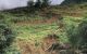 thum-m_3pInPfLFl2_1636443946.jpg