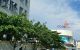 thum-8231422_gvZ4QlYj3r_1636531898.jpg