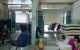 thum-m_4VQFSWcXgH_1636563280.jpg
