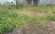 thum-m_4qW093M6nZ_1636511352.jpg