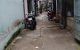 thum-m_OqFBkt98eV_1636506650.jpg