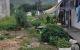 thum-m_jMxBT5EmL2_1636551633.jpg