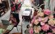 thum-8232398_lyHR13uvgU_1636565838.jpg