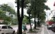 thum-8232788_a0oPAXmyR8_1636590584.png