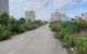 thum-8232840_YlJXKx1ZbM_1636592878.jpg