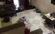 thum-8233138_9fnNpv70zD_1636599340.jpg