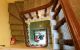 thum-8233330_Bk1TvLSM2I_1636603879.jpg