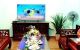 thum-8233361_BTegOzos94_1636604296.jpeg