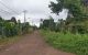 thum-8233458_gYVjRNslit_1636609207.jpeg