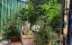 thum-8234462_OEat6AbnB0_1636638585.jpg