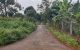 thum-m_LXODYIxCSN_1636609199.jpeg