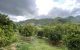 thum-m_WQ913sFRd7_1636613219.jpg