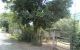 thum-m_xCM57gNwK9_1636637235.jpg