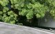 thum-8234831_Kok8Mviadz_1636663339.jpg