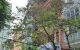 thum-m_HR7GC0TN49_1636703941.jpg