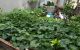 thum-m_eLlraBYG7x_1636688430.jpg