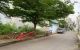 thum-8237582_oKdO8qHewU_1636768935.jpg