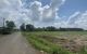 thum-8237812_h2eLkgySdN_1636775048.jpg