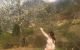 thum-8237929_Mdku0UJxg4_1636778882.jpg