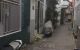 thum-8238087_1J9ouBVHK0_1636785417.jpg