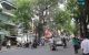 thum-8240030_QRxnJ2L6BE_1636880568.jpg