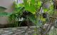 thum-8240374_qoy4r6fXI7_1636891075.jpg