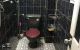 thum-m_8AH7cxyOFq_1636878962.jpg