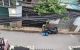 thum-m_mMynBHN2o0_1636878245.jpg