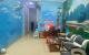 thum-8241106_Z4ogJP5tXl_1636936757.jpg