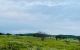 thum-8241358_IHSn9CoqyX_1636944413.jpg