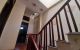 thum-8242164_crB7xLZlR4_1636966861.jpg