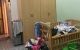 thum-8243361_1KIyZFf3uk_1637027364.jpg