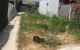 thum-m_MAKkP6mhrY_1637115825.jpg