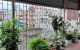 thum-8247900_xocIJlp3Rs_1637203948.jpg