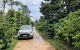 thum-8248346_61WOvfHdxC_1637217346.jpg