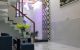 thum-8248656_juTa36PB7X_1637227857.jpg