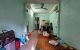 thum-8249023_zi9fxIHSV5_1637242715.jpg