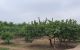 thum-8250491_SyTwfQmPc6_1637307686.jpg
