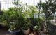 thum-8250725_kfw4L6bIhG_1637314973.jpg
