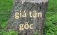 thum-8250861_XM9GayQFs4_1637321268.jpg