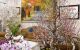 thum-8250990_YmO52xB6iw_1637326727.jpg