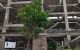 thum-m_5nMSiXNj8f_1637279637.jpg