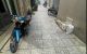 thum-8251607_vifsWPoLCQ_1637372566.jpg