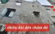 thum-8251783_nhUyYJeDKI_1637377701.jpg