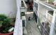 thum-8251844_wbKJ0Cgnor_1637380674.jpg