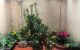 thum-8252430_asKOkgy9RG_1637403564.jpg