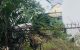 thum-m_LORpsz6581_1637395129.jpg