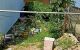 thum-m_pvs31AmGed_1637375941.jpg