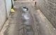 thum-8254414_2eNUgfTu4a_1637500830.jpg